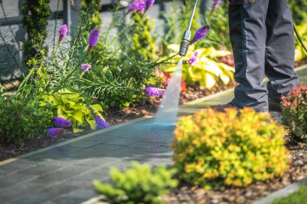 Best Parking Lot and Garage Cleaning  in Dodge Center, MN